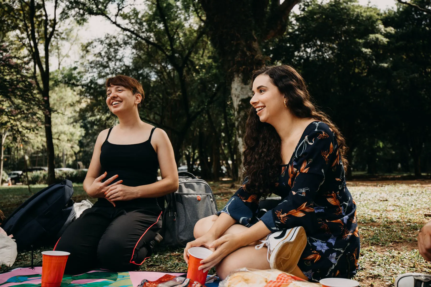 Twee vrouwen lachen op een picknickkleed in het park